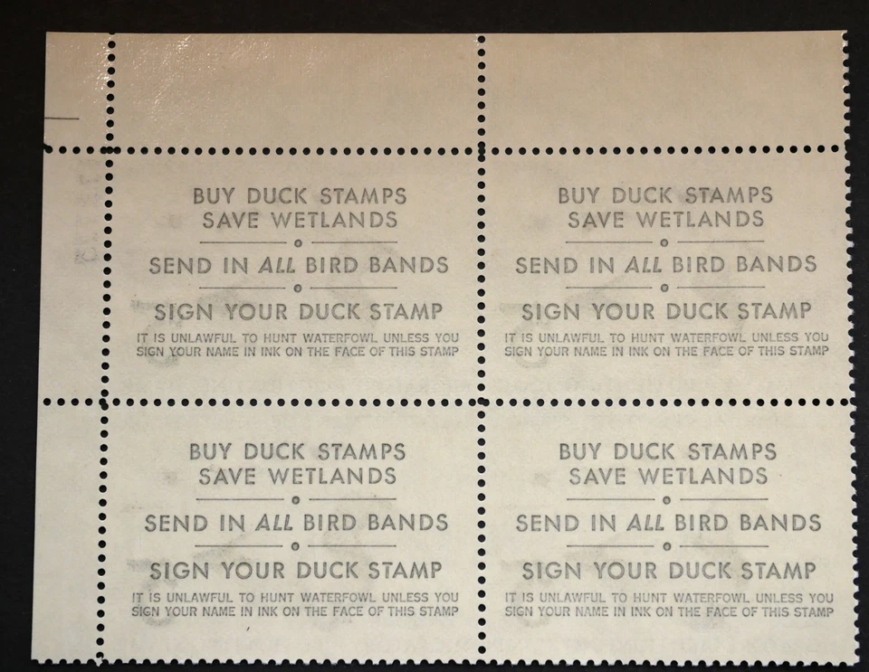 RW42 Federal Duck Hunting Stamps Block of FOUR (4), MNH, OG, 1975 w/Plate Block# - Image 2 of 2
