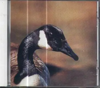 CD Doldrums Secret Life Of Machines VHF Records