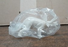 White Triceratops plastic dinosaur - NEW