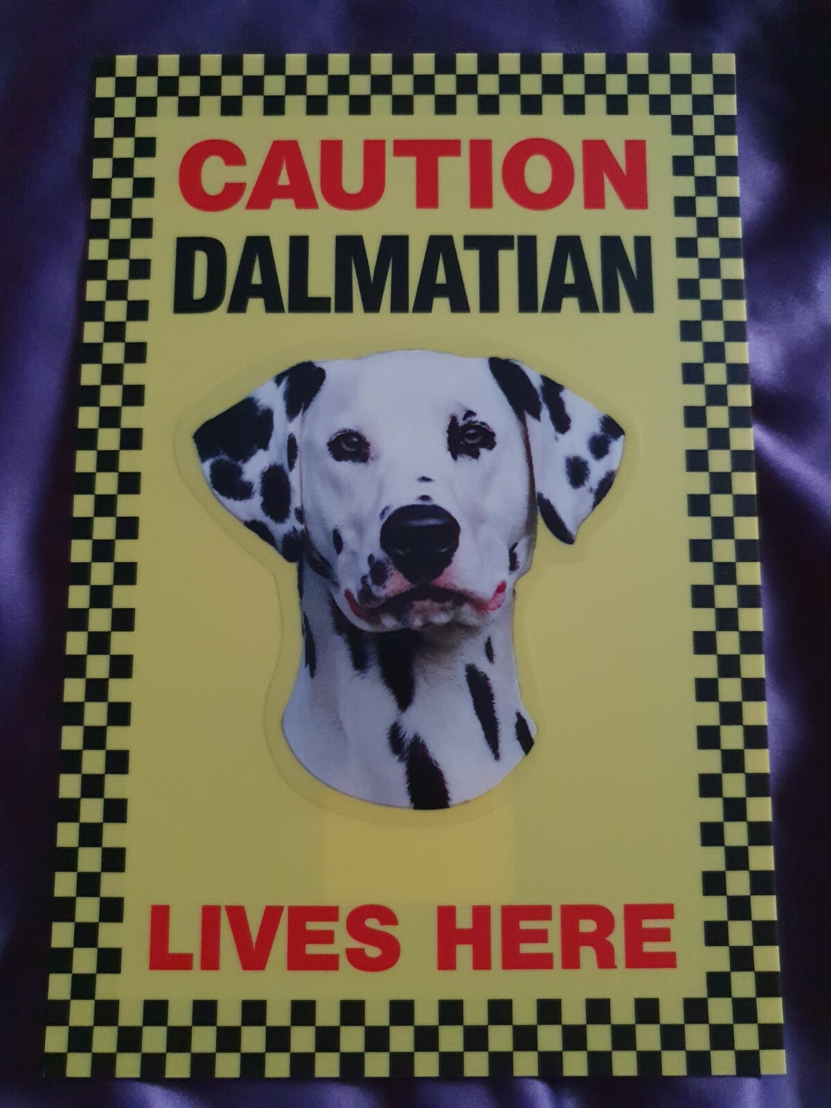 CAUTION Dalmatian Lives Here sign Dog security sign Dalmatians signs dogs puppy