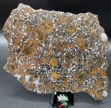 NWA 14518 74.07g Mesosiderite Meteorite Polished Slice IMCA #s 6236 & 7294