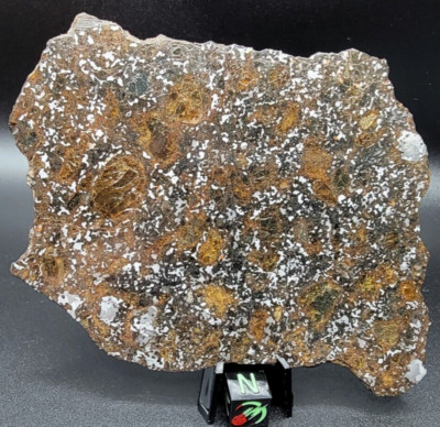 NWA 14518 74.07g Mesosiderite Meteorite Polished Slice IMCA