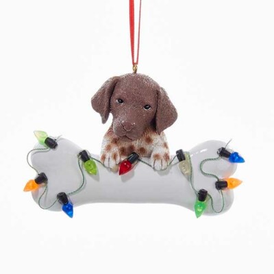 German Shorthaired Pointer w/Bone & Lights Ornament