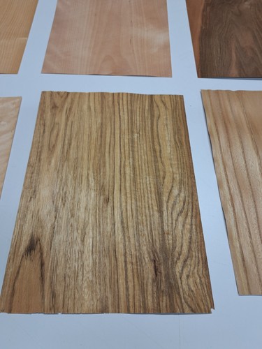 Wood Veneer Sample Pack - 10 PIECES 300mm x 210mm - for marquetry - Pack 156 - Picture 10 of 12