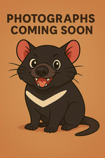 Jennifer Lopez,Jadakiss,Ll Cool J,Styles - This Is... (CD 2002)