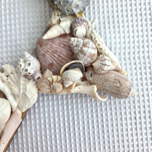 Handmade Beach Six Pointed Seashell Shell Star Wall Hanging INV D - Picture 6 of 17