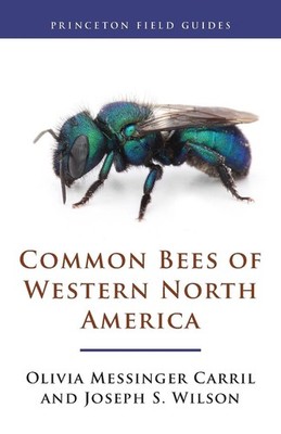 Common Bees of Western North America by Olivia Messinger Carril Paperback Book