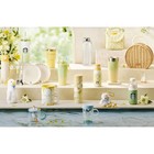 STARBUCKS KOREA 2024 Spring MD Tumbler Mug Cold Cup Venti Limited Edition