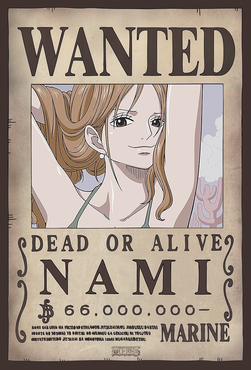 Namiページ WANTED ONE PIECE NAMI 16X20 POSTER JAPAN TELEVISION SERIES ANIME