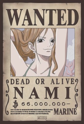 WANTED ONE PIECE NAMI 16X20 POSTER JAPAN TELEVISION SERIES ANIME