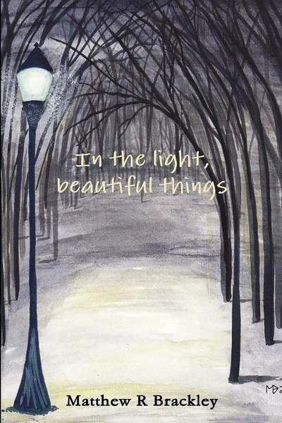 Matthew R Brackley | In The Light,Beautiful Things | Taschenbuch | Englisch-image