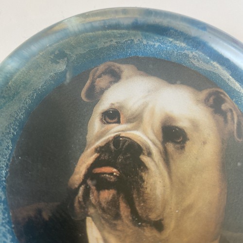 ANTIQUE ENGLISH BULLDOG AMERICAN BULLDOG GLASS PAPERWEIGHT - Picture 11 of 11