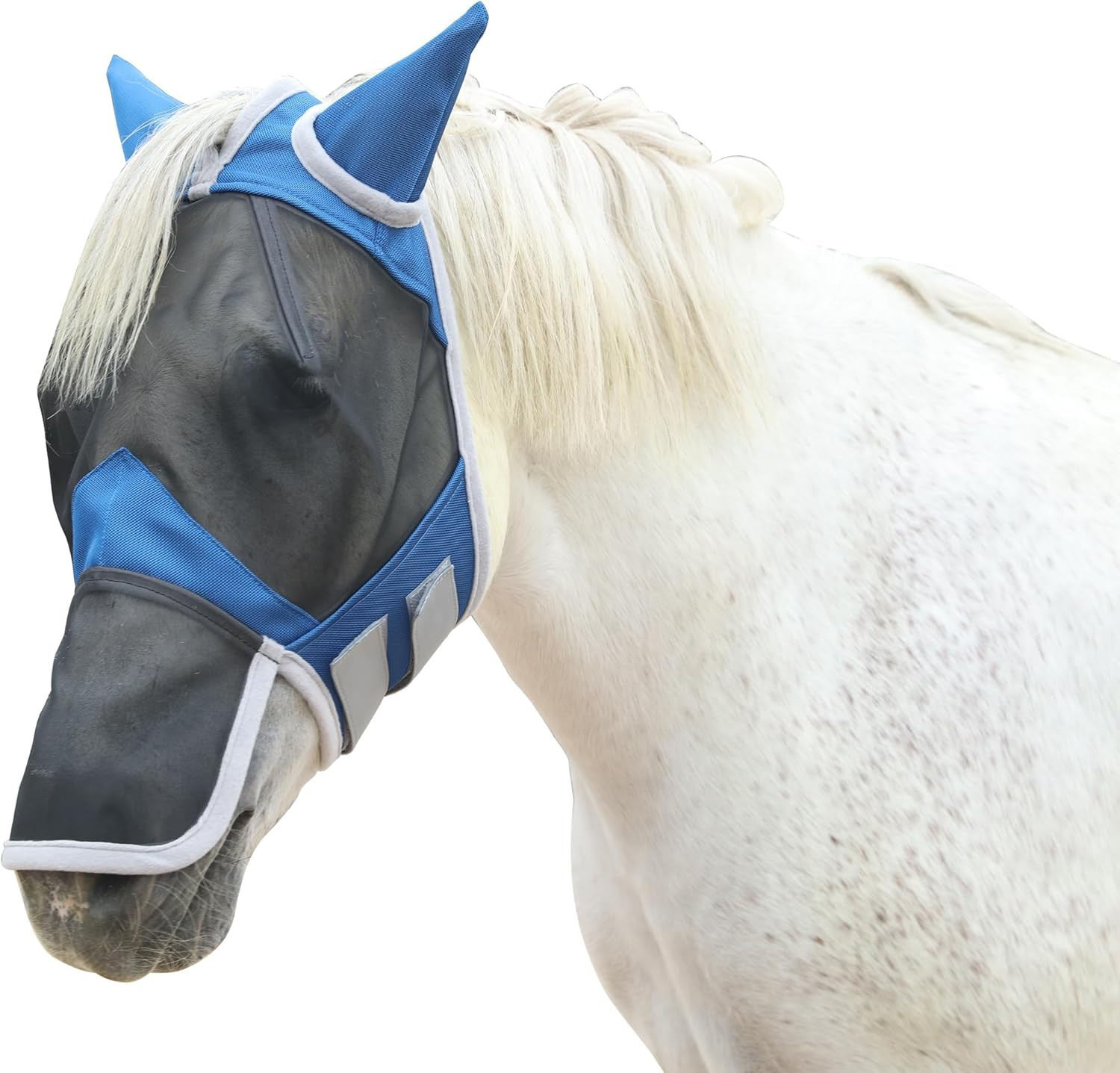 Masque anti mouches cheval Gallopoff avec filet de protection des oreilles pour poney et cheval