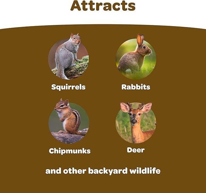 Kaytee Backyard Wildlife Food Blend For Wild Squirrels Chipmunks Rabbits and ...