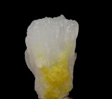 CELESTINA grande cristallo e ZOLFO AUTOCTONO --- ITALIA Sicilia - Miniera La Grasta /pi173