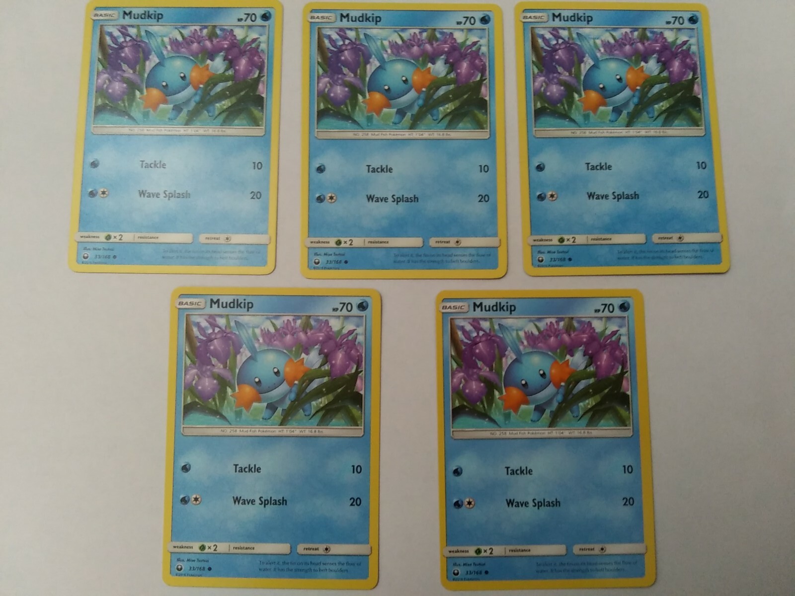 Lot Of 5 Mudkip 33/168 Celestial Storm Pokemon Card A