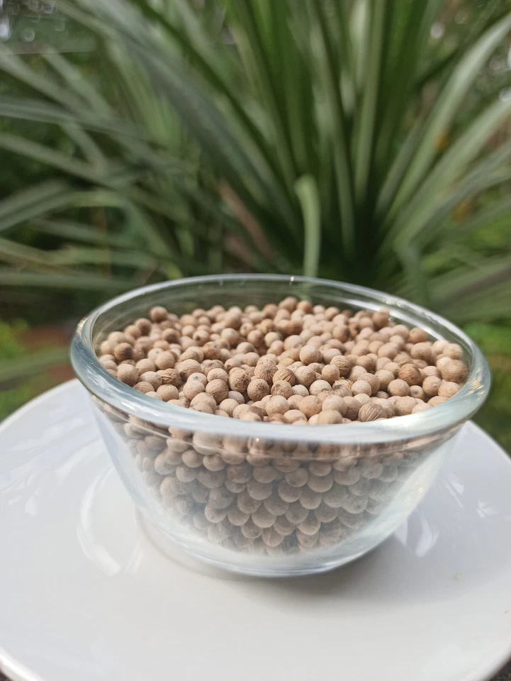 White Pepper Organic – 100% Natural Ceylon Spice | Grown in Sri Lanka - Image 4 of 4