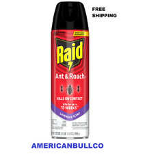 Raid Ant & Roach Killer Spray Lavender Scent ...