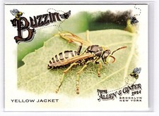 2024 Topps Allen & Ginter Yellow Jacket #BUZ-13 Buzzin