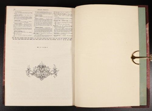 1895 6vol Lloyd's Encyclopaedic Dictionary British Antiquarian Reference Books - Afbeelding 9 van 19