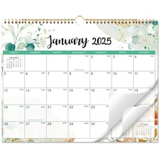 2025 Wall Calendar - 2025 Calendar from January 2025 to December 2025, 11.6''...