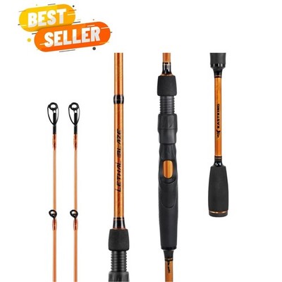 Lethal Blaze Twin-Tip Fishing Rods, IM6 Graphite Blanks Casting & Spinning Ro...