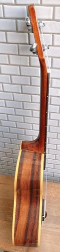 Alulu Solid Acacia Koa Concert cutaway Ukulele, bird inlay HU1632 - Picture 6 of 17