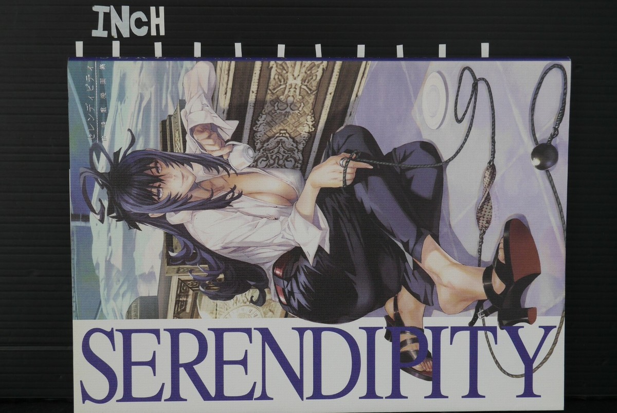 Shigeki Maeshima Serendipity Illustration Art Book Japanese | eBay