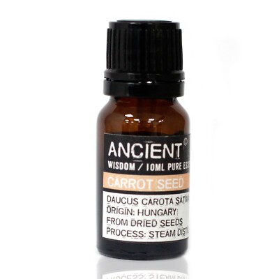 ätherisches Karottensamenöl  10ml - 100% naturreines Öl  - Ancient Wisdom