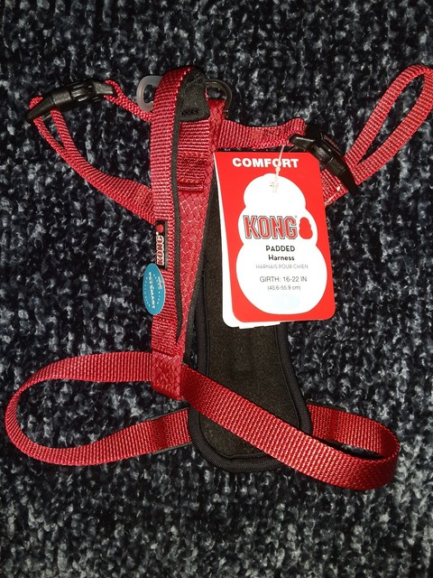 kong harness small