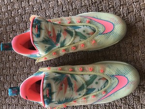 lebron 12 lebronold palmer