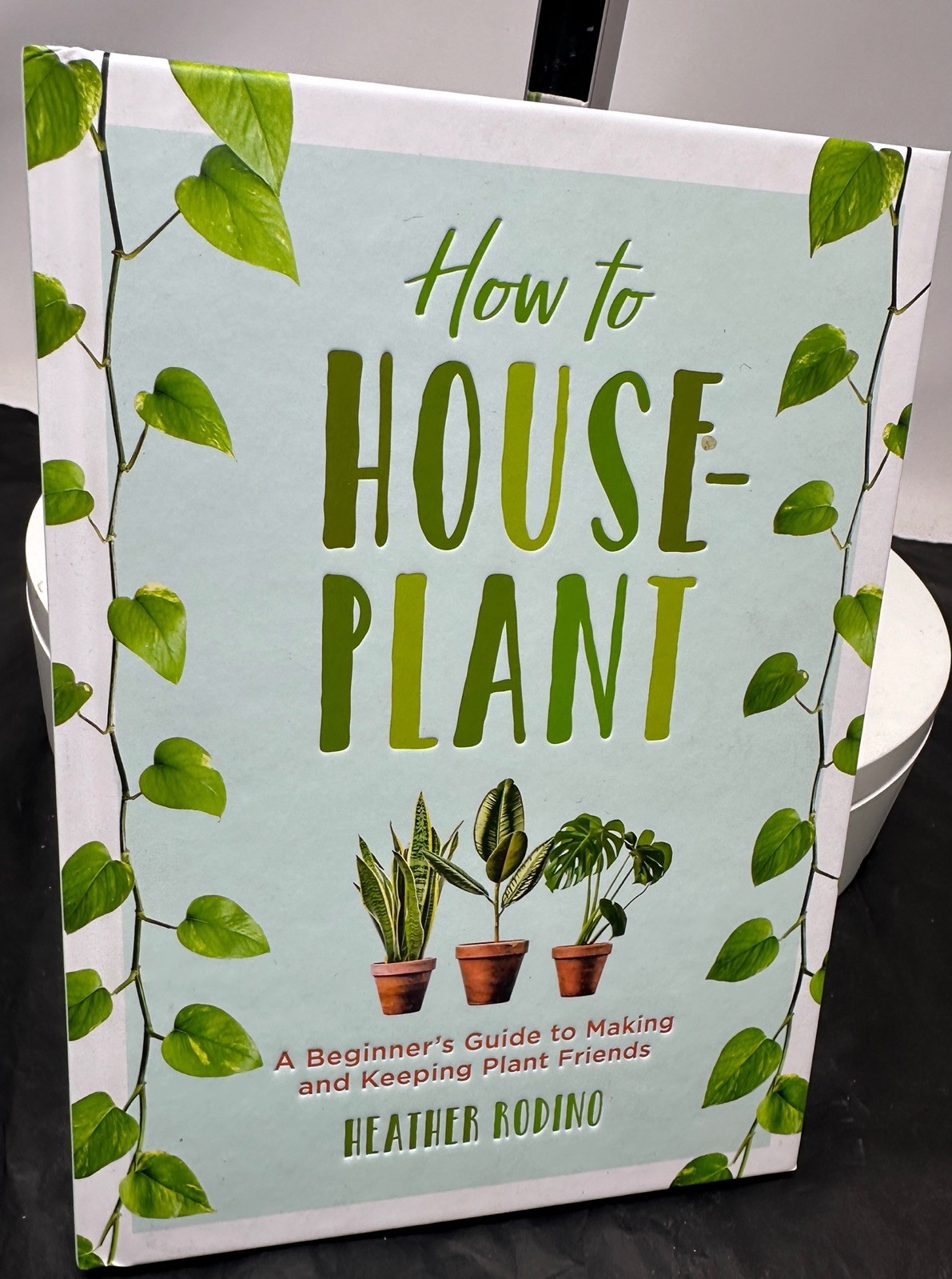 How to House-Plant A Beginner's Guide to Making and Keeping Plant Friends