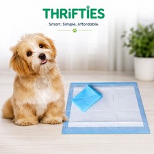 300 Economy 17x24" 3-Layer Puppy Pee Pee Puppy Pads Affordability-Quantity