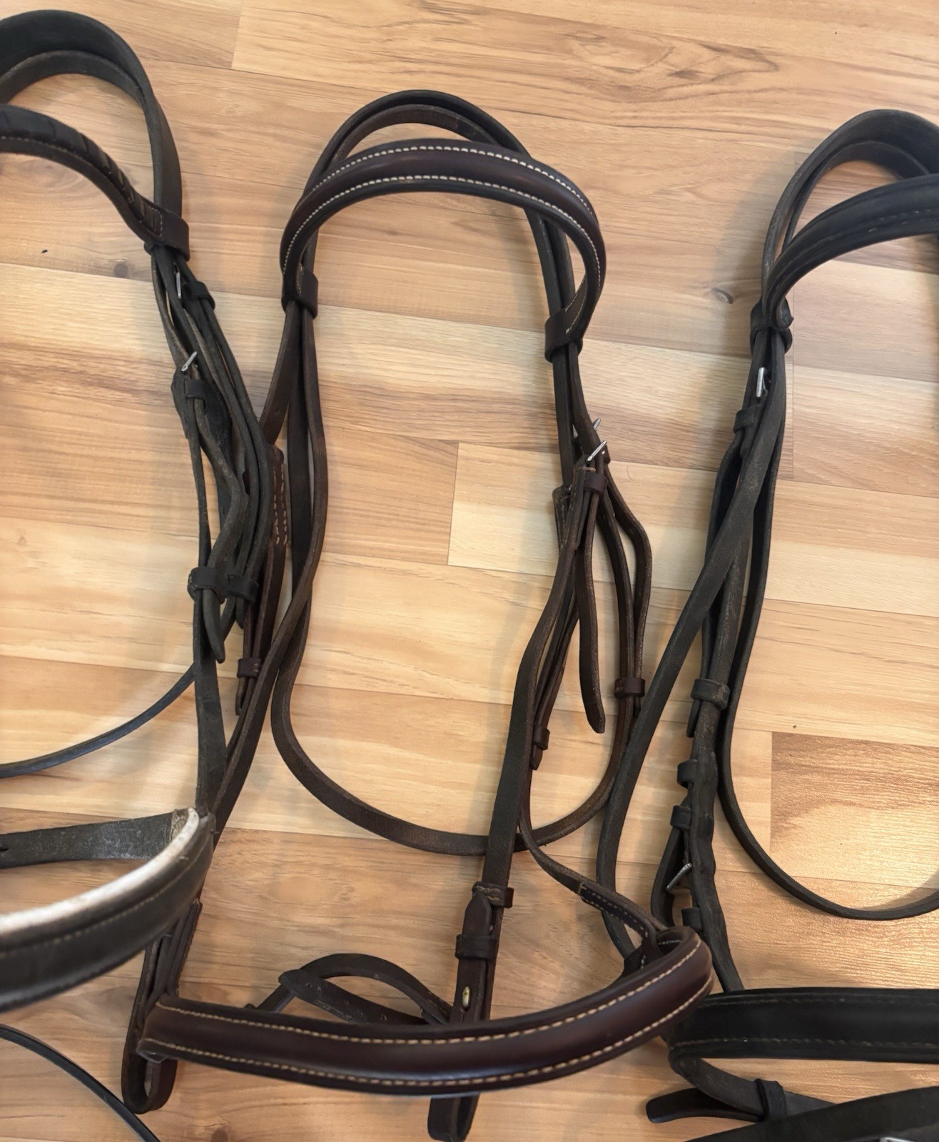 HUGE English Tack Lot- USED!