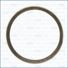 Dichtring Abgasrohr Ajusa 19005500 für LAND ROVER