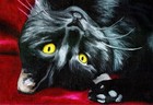 13x19 Cat Black Dsh Domestic Shorthair Signed Art Print of Painting by Vern