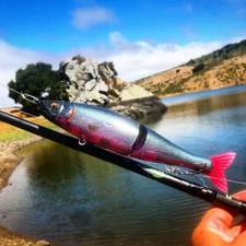 Custom Painted Glide bait Jointed Claw 230mm Magnum Premium Blank TRAPPER HOOKS