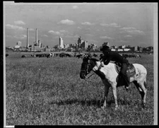 8" x 10" Photo Skyline,Dallas,Texas,TX