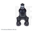 Blue Print ADT38693 Lenker, RadaufhäNgung Vorne Links Oben FüR Lexus