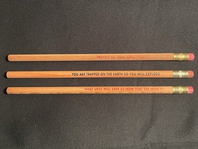 JENNY HOLZER 'PROTECT ME FROM WHAT I WANT' Art  Survival Series Graphite Pencils