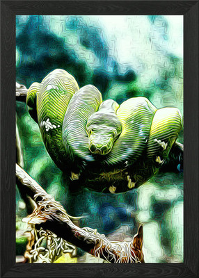 Smaragdbaum Boa Gerahmtes Wandbild Poster Leinwanddruck Bild