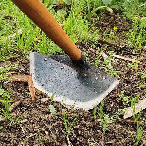 Testa zappa erba acciaio pala diserbo ispessita giardinaggio zappa aratura terreno - Foto 3 di 12