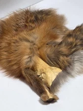 Vintage Real Red Fox Fur Pelt Hide with Tail Face Taxidermy Craft Supply