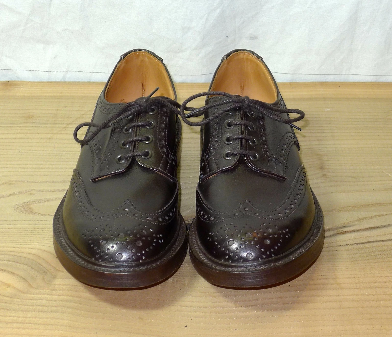 TRICKERS MEN'S S EXPRESSO BURNISHED DERBY BROUGE SHOE (VARIOUS UK SIZES) NIB