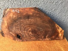 Walnut Burl Slab Billet Crafts Woodworking Turning  1" x 9 1/2" x 18" 992