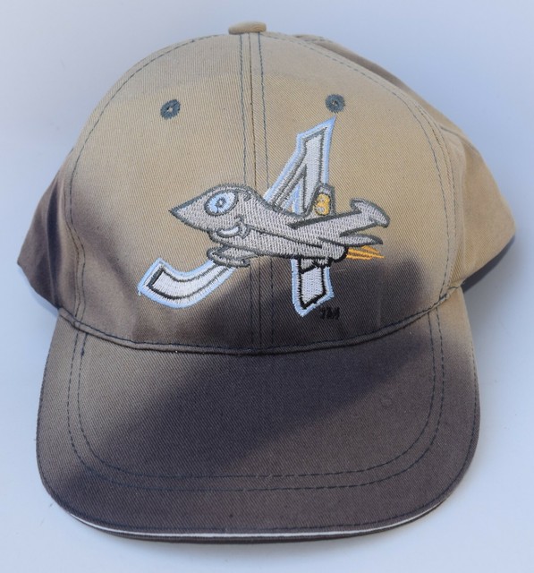 Aberdeen IronBirds Minor League Baseball Cap Hat MiLB Adjustable