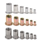 <!--F#f_0-->Rivet Nut Bolt 304 Stainless Steel Alu Zinc Rivets Tool Flange Blind Sunk M3-M10<!--F/-->