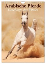 Arabische Pferde ¿ Geschöpfe des Windes (Wandkalender 2026 DIN A4 hoch), CALVEND