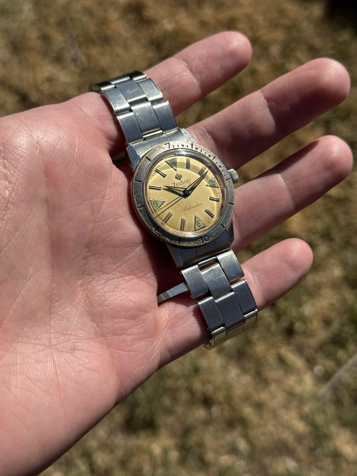 Vintage Zodiac Seawolf Tropical Dial On Original Rivet Oyster Bracelet