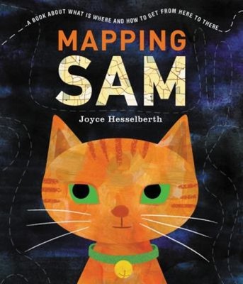 Mapping Sam Paperback Joyce Hesselberth